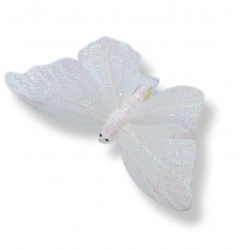 motyl biały